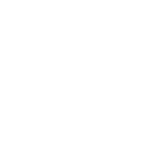 The Brothers That Just Do Gutters