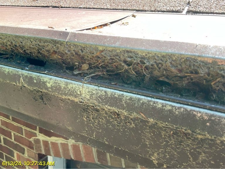The Tacoma Rain Calendar: How Long You Actually Have Before Your Gutters Matter