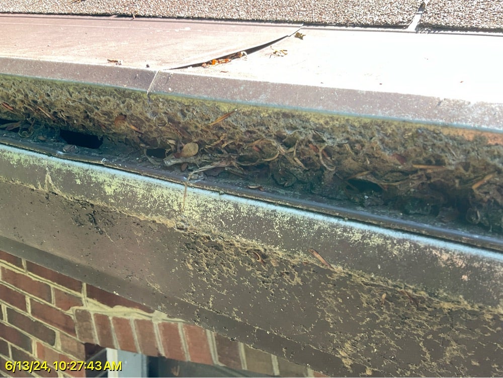 Moss and grime built up along an old gutter