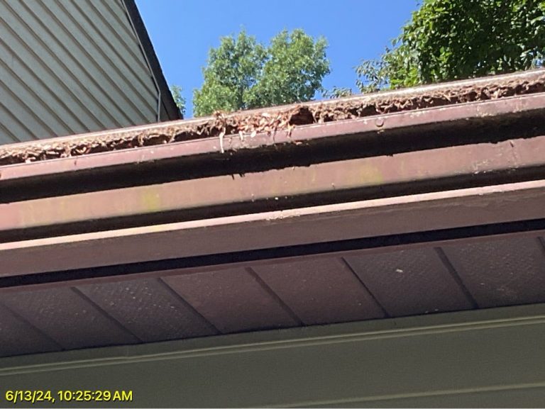Gutter services in Fircrest, WA