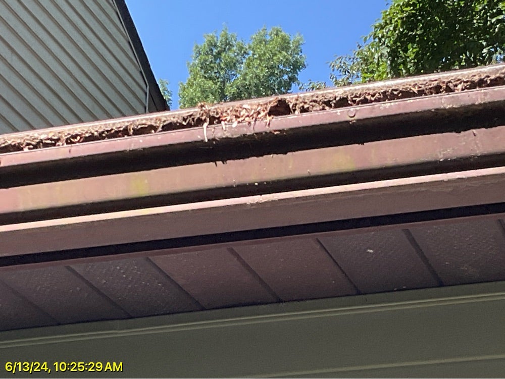 Leaves and grime packed into an old gutter